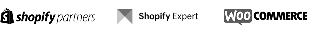 shopifypartners-1.jpg (22 KB)
